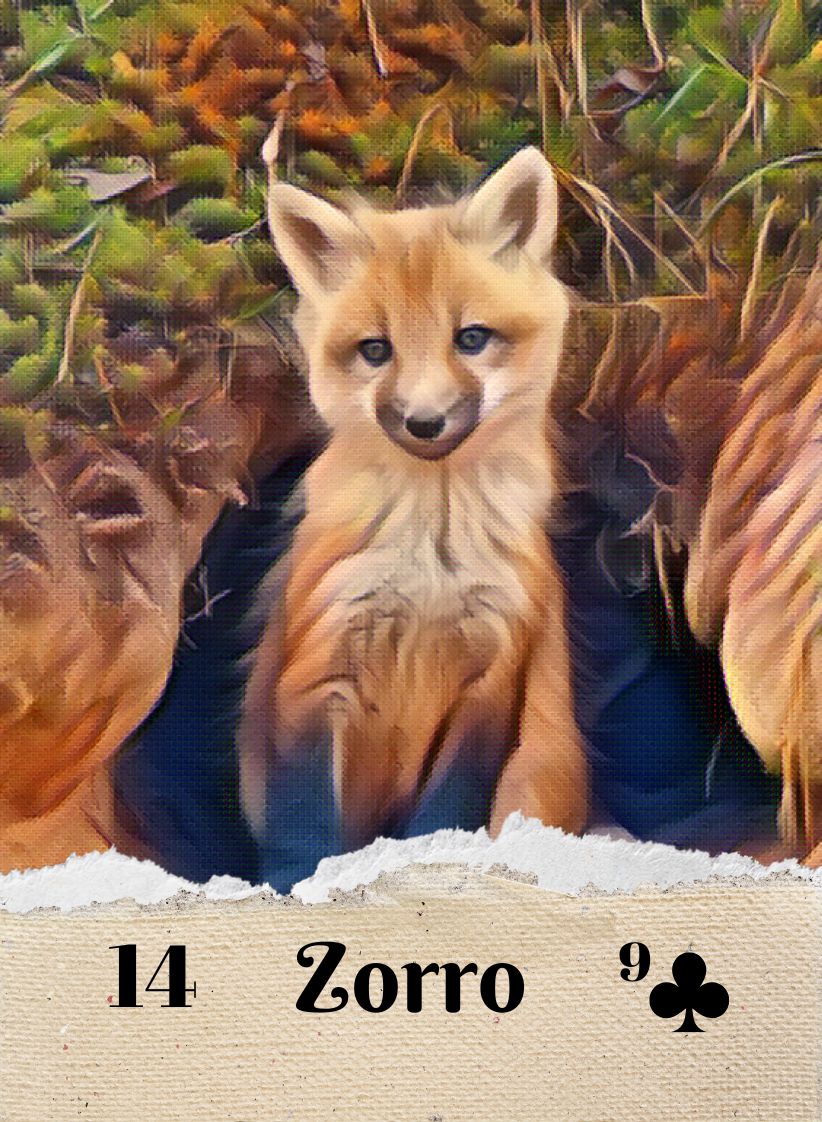 Pintoresco Lenormand - Mazo